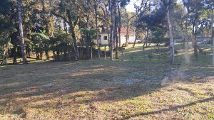 Chacara em Tijucas do Sul